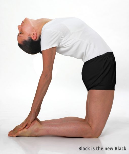 Hilfsmittel Archive – Iyengar Yoga Institut Berlin